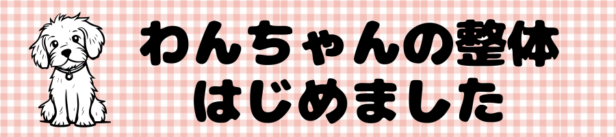 わんちゃんの整体はじめました